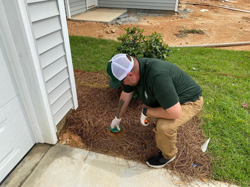 Brandon working with a termite bait station.